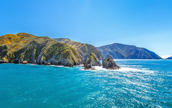 Picton (Nuova Zelanda)